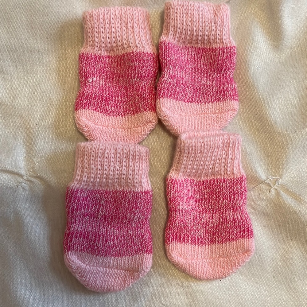 Dog socks 🆕 - Picture 3 of 4